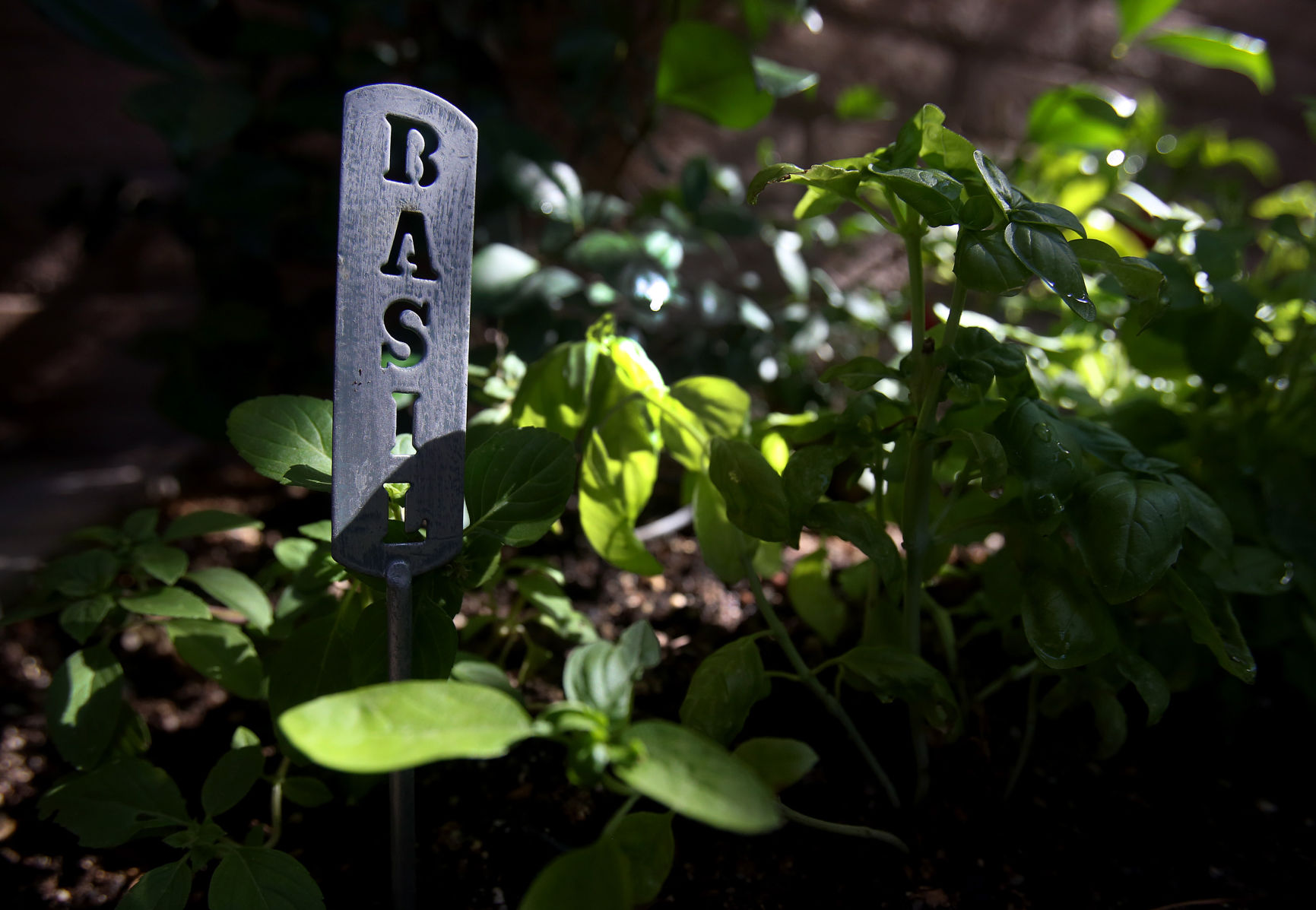 Container gardening